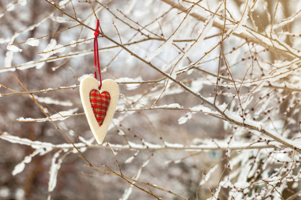 istock Felt Red Heart on a Natural Background 1268346046