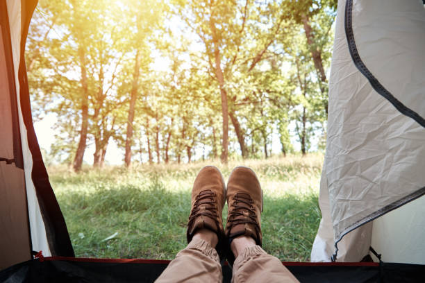 istock Inside view of camping tent on forest in sunny morning 1268346126