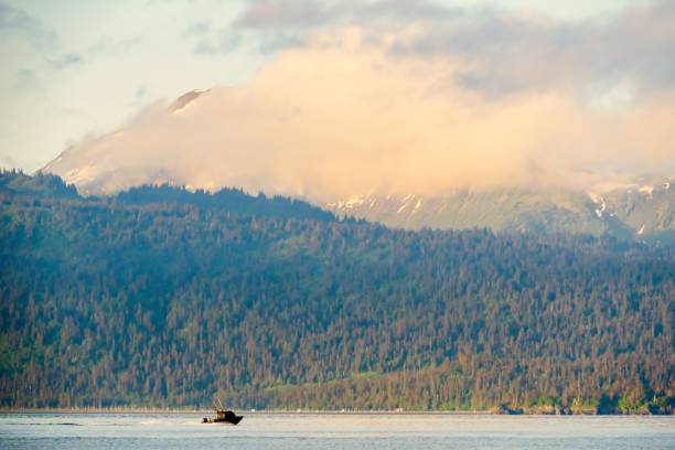 istock A Dreamlike Alaskan Morning 1268350733