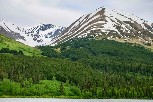 Kenai Peninsula, Alaska.