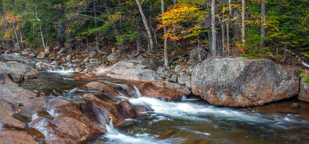 istock Autumn on the swift river 1268352645