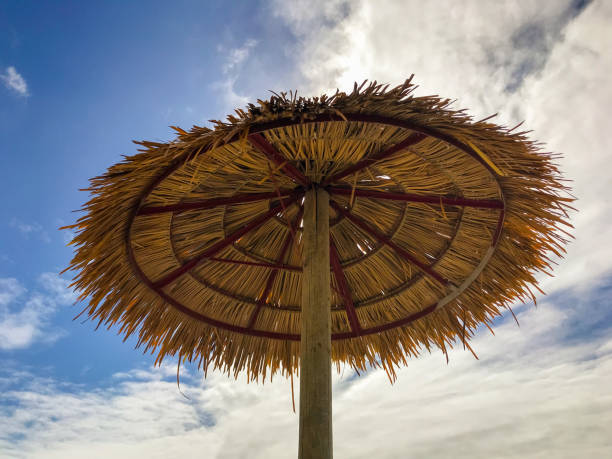 istock Looking up from a beach chair on a beach in Antigua 1268354491