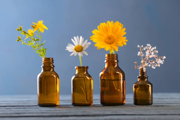 istock medicinal plants and brown bottles on  blue background 1268358448
