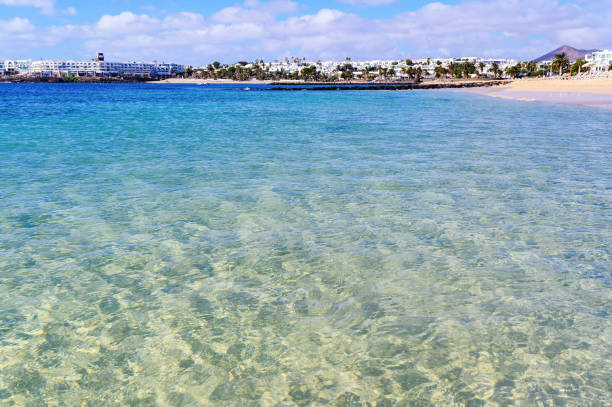 Beautiful beach of Las Cucharas in Costa Teguise, Lanzarote, Canary Islands. View of the blue sea, yellow sand, palm trees, selective focus