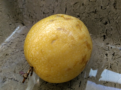 A large passion fruit in the sink