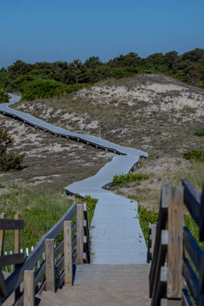 istock Plum Island Boardwalk Stairs 1268361532