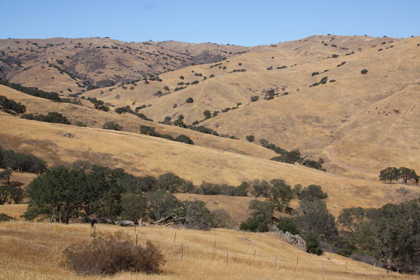 san joaquin hills - califórnia - san joaquin valley - fotografias e filmes do acervo