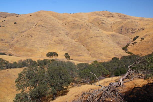 san joaquin hills - califórnia - san joaquin valley - fotografias e filmes do acervo