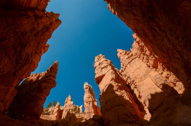 istock Bryce Canyon NP - Looking Up Among the Hoodoos 1268366957