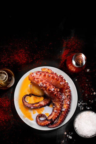 vertical octopus dish with copy space stock photo
