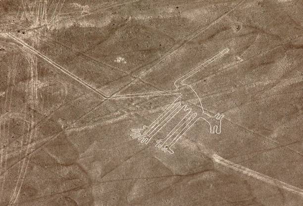 istock dog geoglyph sepia colored, Nazca or Nasca lines, Peru 1268368658