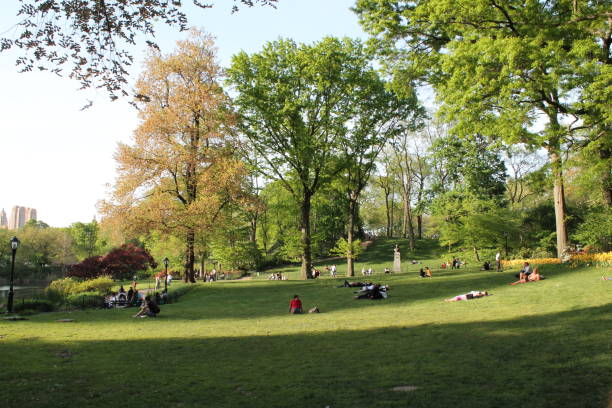 istock A green park at sunset 1268368994