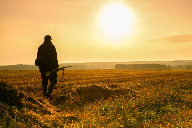 istock Hunter at sunset. Hunter walking in the autumn field. 1268370893