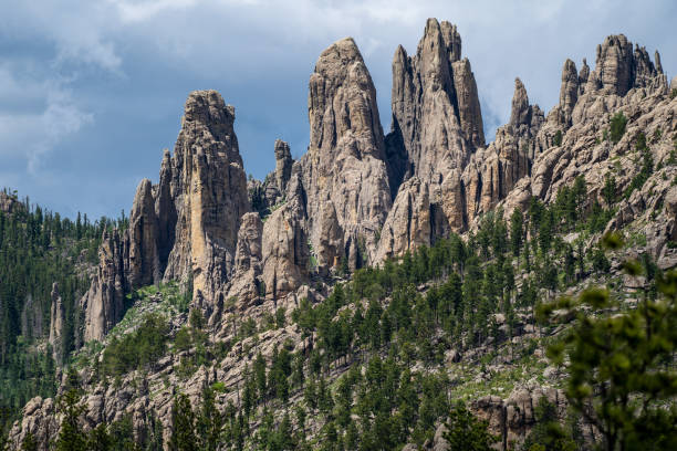 hermosas torres formaciones rocosas en custer state park a lo largo de la needles highway south dakota - natural tunnel state park fotografías e imágenes de stock