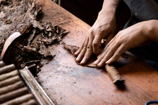 деталь рук человека, работающего скручивая табачные листья, чтобы сделать сигары сигарами. - cigarette wrapping стоковые фото и изображения