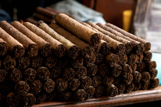 dettaglio delle mani che lavorano foglie di tabacco attorcigliate per fare sigari sigari. - cigarette wrapping foto e immagini stock