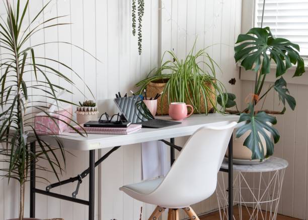 istock Working from home office with potted plants 1268374912