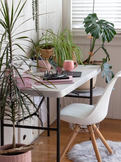 istock Working from home office with potted plants 1268380610