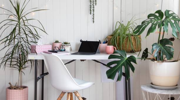 istock Home office in white room with house plants 1268380783
