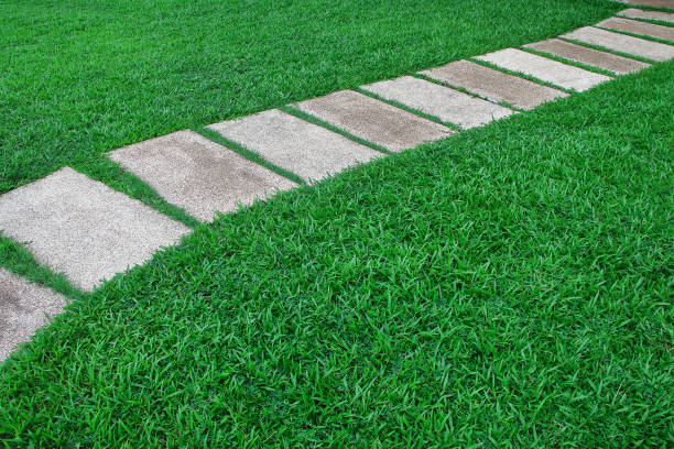 istock green lawn with pebble walkway for home decoration 1268384283