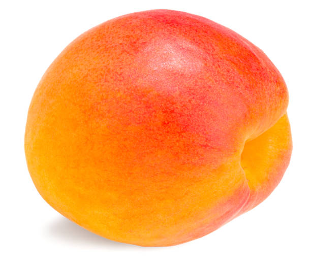 istock single apricot fruit isolated on white background. full depth of field 1268387629