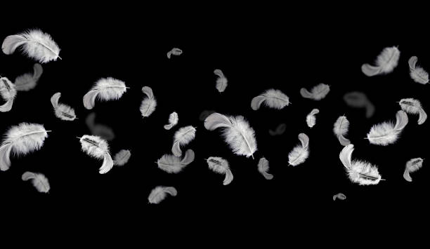 istock Abstract freedom. Group of light fluffy a white feathers floating in the dark. Black background. 1268389159