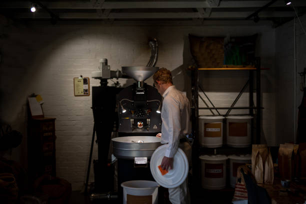 A coffee roaster wacthing his batch of coffee being roasted. stock photo