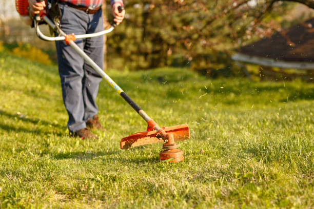 istock mowing trimmer - worker cutting grass in green yard at sunset 1268390540