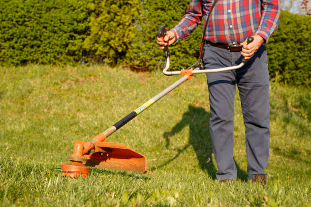 istock mowing trimmer - worker cutting grass in green yard at sunset 1268390604