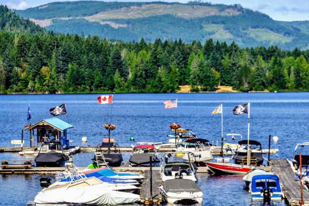 istock Shawnigan Lake Aerodrome 1268394599