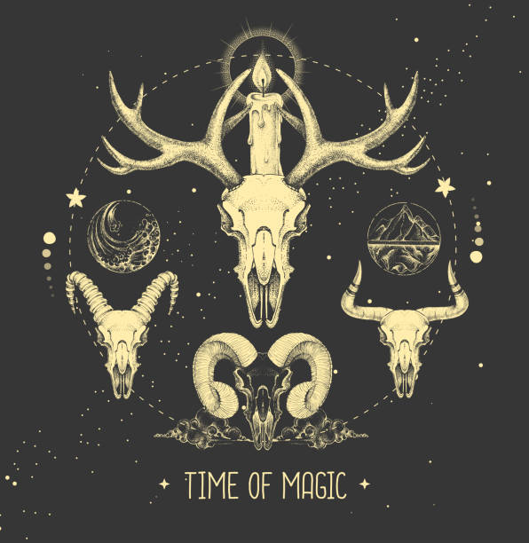 現代魔法巫術塔羅斯卡與動物頭骨和四個元素的占星術背景。向量插圖。 - 動物頭骨 幅插畫檔、美工圖案、卡通及圖標