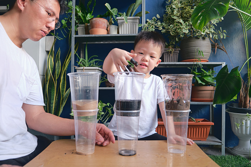 Parent sitting homeschooling with little kid, Asian Father and son having fun making easy science soil experiment at home, Kid-friendly easy science experiments at home concept