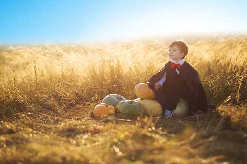 Child sitting with pumpkin in his hands. Close up