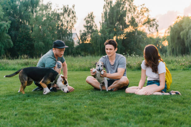 istock Three friends sitting on loan and playing with dogs 1268412394