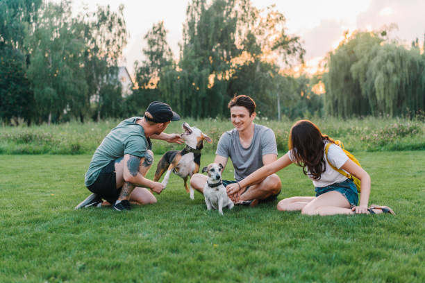 istock Three friends sitting on loan and playing with dogs 1268412418