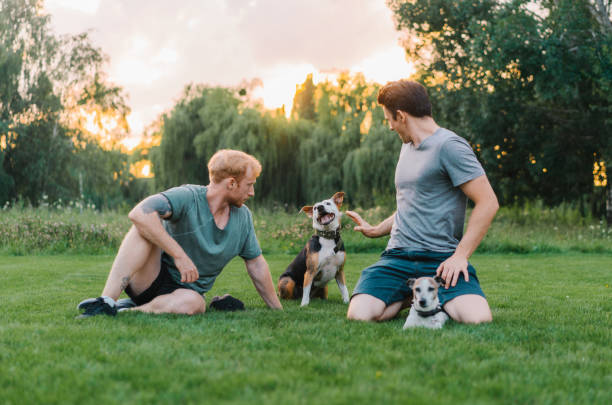 istock Man playing on loan with dogs 1268414302