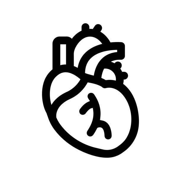 значок сердца человека, черная версия - human artery illustrations stock illustrations