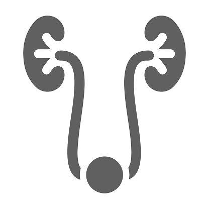 Human kidney icon - Perfect for use in designing and developing websites, printed files and presentations, Promotional Materials, Illustrations or any type of design project.