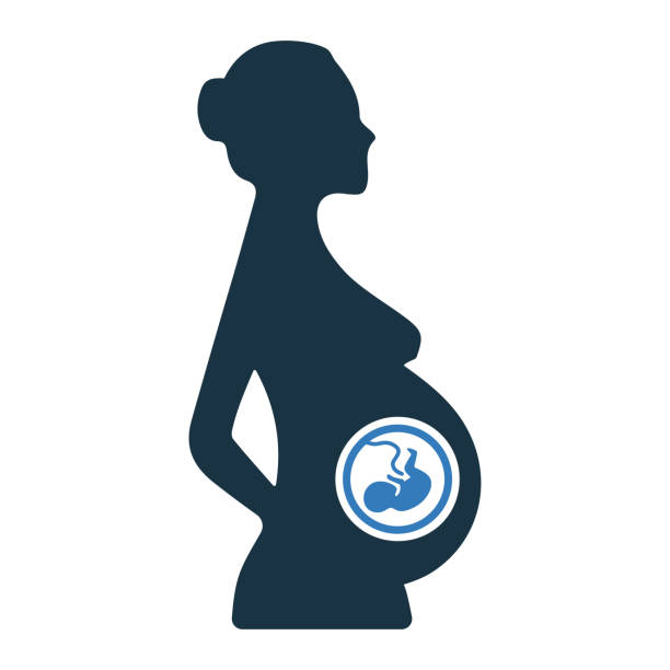 illustrations, cliparts, dessins animés et icônes de foetus, embryon, conception enceinte d’icône - femme enceinte