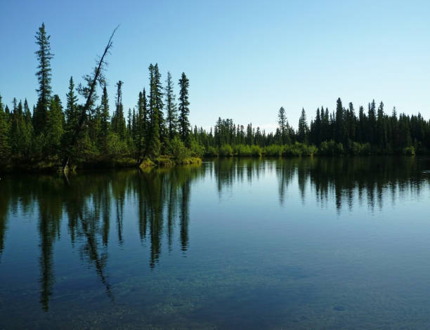 istock Reflection of trees in Clearwater Lake, Alaska 1268419988
