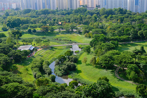High angle view of public neighbourhood park in Singapore neighbourhood. Beautiful glow in lush greenery in afternoon sun on a bright sunny day. Cropped views of public housing buildings in background