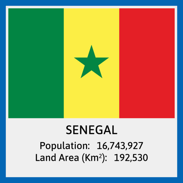 senegal national flag w vector z pewnymi szczegółami na temat liczby ludności i obszaru lądowego - qatar senegal stock illustrations