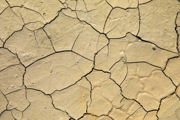 istock Cracked soil for background and texture material, arid waterless area, climate change concept 1268422970