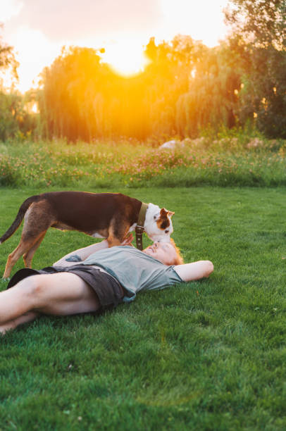 istock Man laying on the  grass and playing  with the  dog 1268426530
