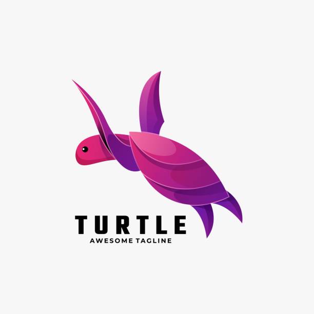 Purple Shell Cartoon 2,600+ Purple Shell Stock Illustrations, Royalty-Free Vector Graphics ...