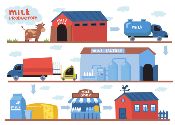 ilustrações de stock, clip art, desenhos animados e ícones de milk production process set - semi skimmed milk