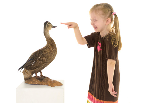 Funny Toddler Girl Speaking With Duck Studio Photo