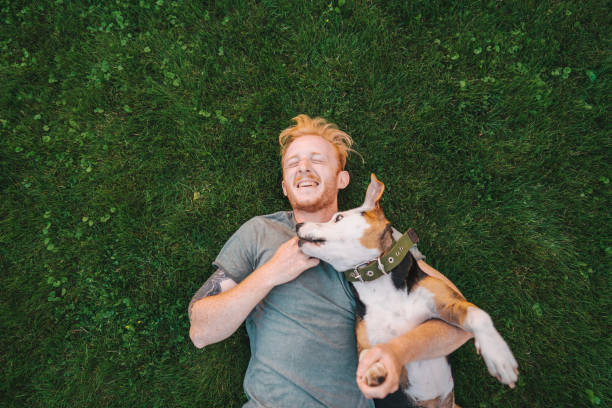 человек, лежащий на траве и играющий с собакой - garden love стоковые фото и изображения