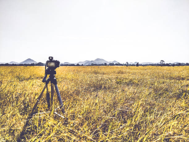 Camera and tripod stand on the grass. Nature photography