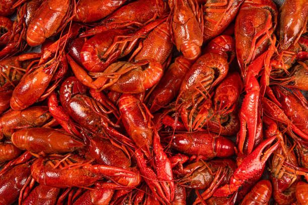 Boiled red crawfishon close up top of view Boiled red crawfishon close up top of view crayfish animal stock pictures, royalty-free photos & images